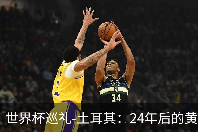 世界杯巡礼-土耳其：24年后的黄金一代，要再次黑马狂奔